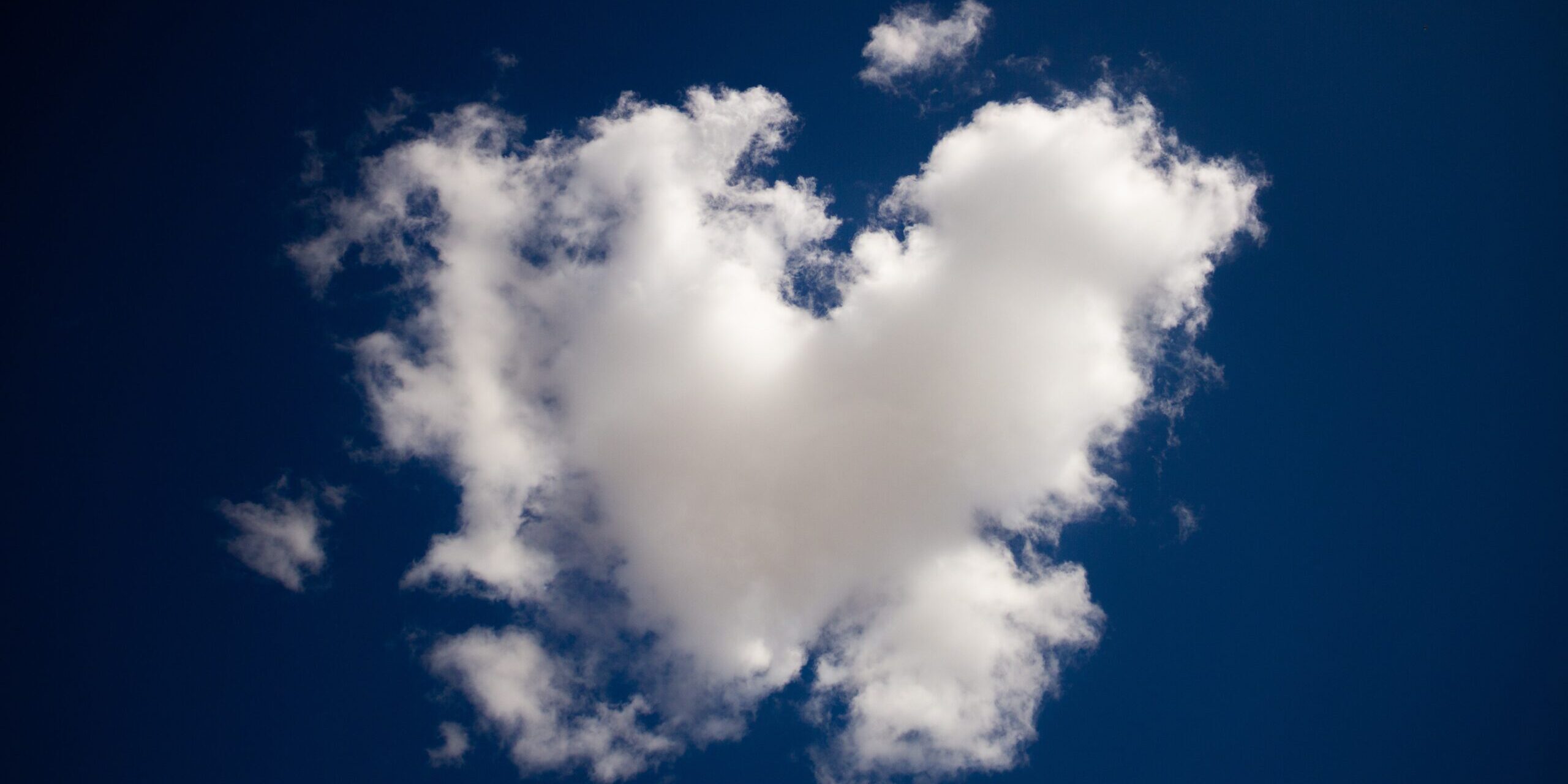 dallas-reedy-H83_BXx3ChY-unsplash