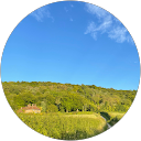 C Gibbs profile picture